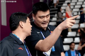 一号-剑门猛虎队守住胜果蓬莱猛虎队，冲浪大师赛上演裁判判罚引热议！球迷期待下一战的简单介绍